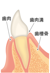 健康な状態